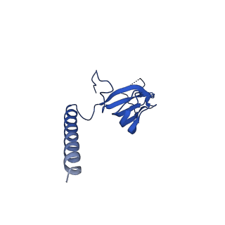 0360_6n7p_K_v1-3
S. cerevisiae spliceosomal E complex (UBC4)