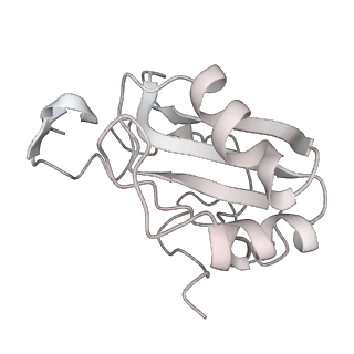 0360_6n7p_Y_v1-3
S. cerevisiae spliceosomal E complex (UBC4)