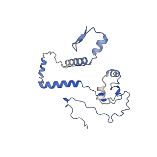 0361_6n7r_B_v2-1
Saccharomyces cerevisiae spliceosomal E complex (ACT1)