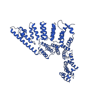 0361_6n7r_D_v2-1
Saccharomyces cerevisiae spliceosomal E complex (ACT1)