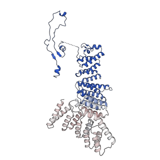 0361_6n7r_E_v2-1
Saccharomyces cerevisiae spliceosomal E complex (ACT1)