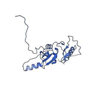 0361_6n7r_F_v1-1
Saccharomyces cerevisiae spliceosomal E complex (ACT1)