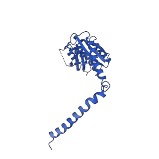 0361_6n7r_G_v2-0
Saccharomyces cerevisiae spliceosomal E complex (ACT1)