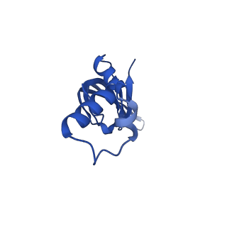 0361_6n7r_M_v1-1
Saccharomyces cerevisiae spliceosomal E complex (ACT1)