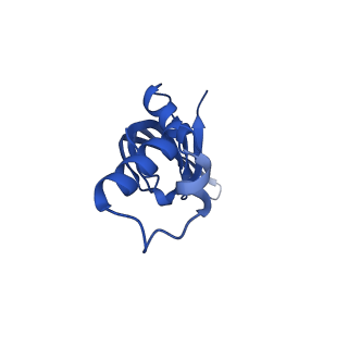 0361_6n7r_M_v2-1
Saccharomyces cerevisiae spliceosomal E complex (ACT1)