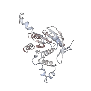 0362_6n7s_A_v1-1
Structure of bacteriophage T7 E343Q mutant gp4 helicase-primase in complex with ssDNA, dTTP, AC dinucleotide and CTP (form II)
