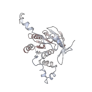 0362_6n7s_A_v1-2
Structure of bacteriophage T7 E343Q mutant gp4 helicase-primase in complex with ssDNA, dTTP, AC dinucleotide and CTP (form II)