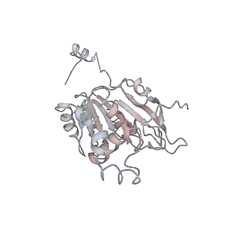 0362_6n7s_B_v1-1
Structure of bacteriophage T7 E343Q mutant gp4 helicase-primase in complex with ssDNA, dTTP, AC dinucleotide and CTP (form II)