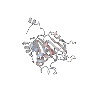 0362_6n7s_B_v1-2
Structure of bacteriophage T7 E343Q mutant gp4 helicase-primase in complex with ssDNA, dTTP, AC dinucleotide and CTP (form II)