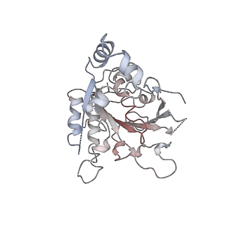 0362_6n7s_C_v1-1
Structure of bacteriophage T7 E343Q mutant gp4 helicase-primase in complex with ssDNA, dTTP, AC dinucleotide and CTP (form II)