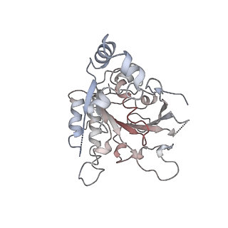 0362_6n7s_C_v1-2
Structure of bacteriophage T7 E343Q mutant gp4 helicase-primase in complex with ssDNA, dTTP, AC dinucleotide and CTP (form II)