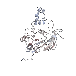 0362_6n7s_D_v1-1
Structure of bacteriophage T7 E343Q mutant gp4 helicase-primase in complex with ssDNA, dTTP, AC dinucleotide and CTP (form II)