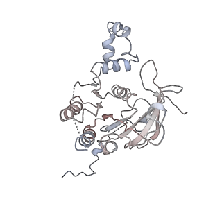 0362_6n7s_D_v1-2
Structure of bacteriophage T7 E343Q mutant gp4 helicase-primase in complex with ssDNA, dTTP, AC dinucleotide and CTP (form II)