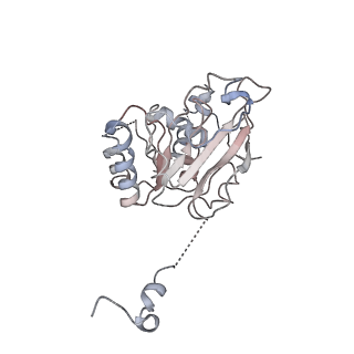 0362_6n7s_E_v1-1
Structure of bacteriophage T7 E343Q mutant gp4 helicase-primase in complex with ssDNA, dTTP, AC dinucleotide and CTP (form II)