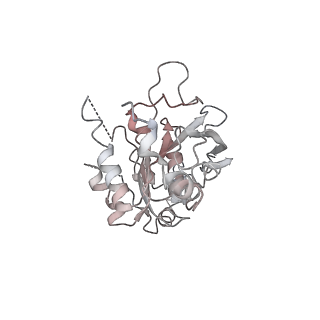 0362_6n7s_F_v1-1
Structure of bacteriophage T7 E343Q mutant gp4 helicase-primase in complex with ssDNA, dTTP, AC dinucleotide and CTP (form II)