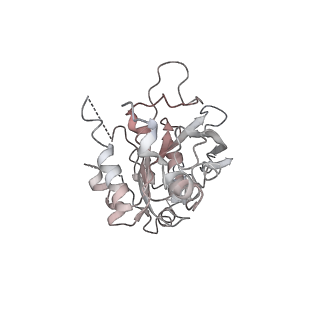 0362_6n7s_F_v1-2
Structure of bacteriophage T7 E343Q mutant gp4 helicase-primase in complex with ssDNA, dTTP, AC dinucleotide and CTP (form II)