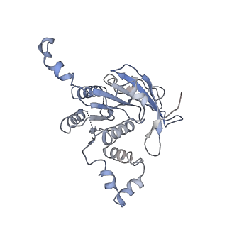 0363_6n7t_A_v1-1
Structure of bacteriophage T7 E343Q mutant gp4 helicase-primase in complex with ssDNA, dTTP, AC dinucleotide and CTP (form III)