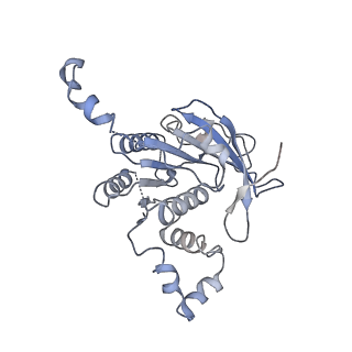 0363_6n7t_A_v1-2
Structure of bacteriophage T7 E343Q mutant gp4 helicase-primase in complex with ssDNA, dTTP, AC dinucleotide and CTP (form III)