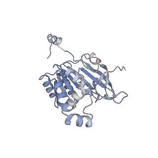 0363_6n7t_B_v1-1
Structure of bacteriophage T7 E343Q mutant gp4 helicase-primase in complex with ssDNA, dTTP, AC dinucleotide and CTP (form III)