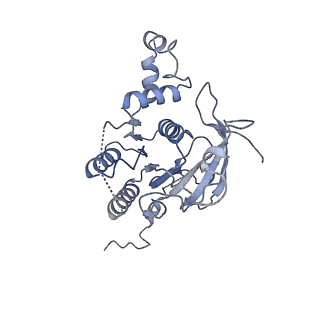 0363_6n7t_D_v1-1
Structure of bacteriophage T7 E343Q mutant gp4 helicase-primase in complex with ssDNA, dTTP, AC dinucleotide and CTP (form III)