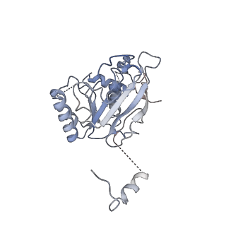 0363_6n7t_E_v1-1
Structure of bacteriophage T7 E343Q mutant gp4 helicase-primase in complex with ssDNA, dTTP, AC dinucleotide and CTP (form III)