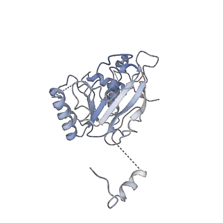 0363_6n7t_E_v1-2
Structure of bacteriophage T7 E343Q mutant gp4 helicase-primase in complex with ssDNA, dTTP, AC dinucleotide and CTP (form III)