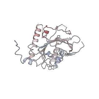 0363_6n7t_F_v1-1
Structure of bacteriophage T7 E343Q mutant gp4 helicase-primase in complex with ssDNA, dTTP, AC dinucleotide and CTP (form III)