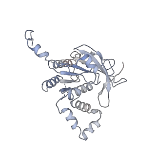 0364_6n7v_A_v1-1
Structure of bacteriophage T7 gp4 (helicase-primase, E343Q mutant) in complex with ssDNA, dTTP, AC dinucleotide, and CTP (from multiple lead complexes)
