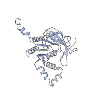 0364_6n7v_A_v1-2
Structure of bacteriophage T7 gp4 (helicase-primase, E343Q mutant) in complex with ssDNA, dTTP, AC dinucleotide, and CTP (from multiple lead complexes)