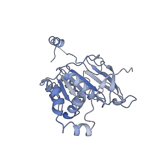 0364_6n7v_B_v1-1
Structure of bacteriophage T7 gp4 (helicase-primase, E343Q mutant) in complex with ssDNA, dTTP, AC dinucleotide, and CTP (from multiple lead complexes)