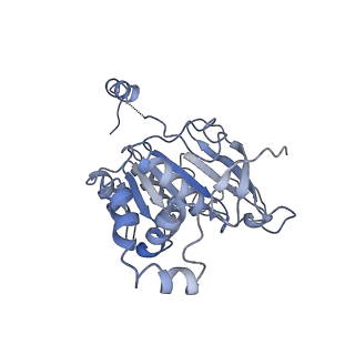 0364_6n7v_B_v1-2
Structure of bacteriophage T7 gp4 (helicase-primase, E343Q mutant) in complex with ssDNA, dTTP, AC dinucleotide, and CTP (from multiple lead complexes)