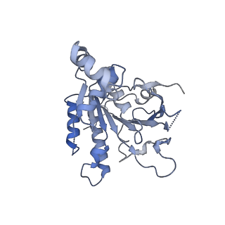 0364_6n7v_C_v1-1
Structure of bacteriophage T7 gp4 (helicase-primase, E343Q mutant) in complex with ssDNA, dTTP, AC dinucleotide, and CTP (from multiple lead complexes)
