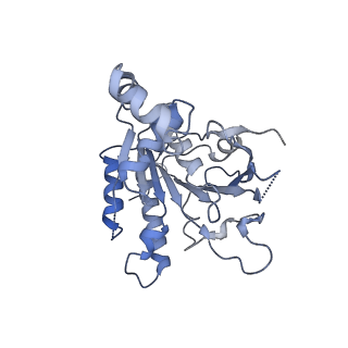 0364_6n7v_C_v1-2
Structure of bacteriophage T7 gp4 (helicase-primase, E343Q mutant) in complex with ssDNA, dTTP, AC dinucleotide, and CTP (from multiple lead complexes)