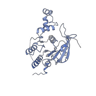 0364_6n7v_D_v1-1
Structure of bacteriophage T7 gp4 (helicase-primase, E343Q mutant) in complex with ssDNA, dTTP, AC dinucleotide, and CTP (from multiple lead complexes)