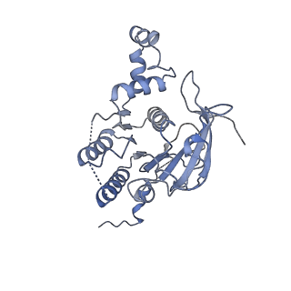 0364_6n7v_D_v1-2
Structure of bacteriophage T7 gp4 (helicase-primase, E343Q mutant) in complex with ssDNA, dTTP, AC dinucleotide, and CTP (from multiple lead complexes)