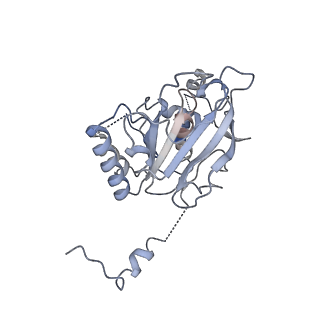 0364_6n7v_E_v1-1
Structure of bacteriophage T7 gp4 (helicase-primase, E343Q mutant) in complex with ssDNA, dTTP, AC dinucleotide, and CTP (from multiple lead complexes)