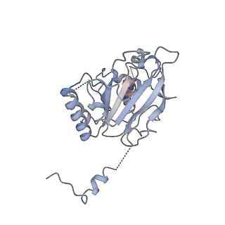 0364_6n7v_E_v1-2
Structure of bacteriophage T7 gp4 (helicase-primase, E343Q mutant) in complex with ssDNA, dTTP, AC dinucleotide, and CTP (from multiple lead complexes)