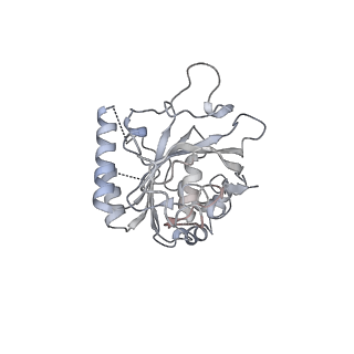 0364_6n7v_F_v1-1
Structure of bacteriophage T7 gp4 (helicase-primase, E343Q mutant) in complex with ssDNA, dTTP, AC dinucleotide, and CTP (from multiple lead complexes)