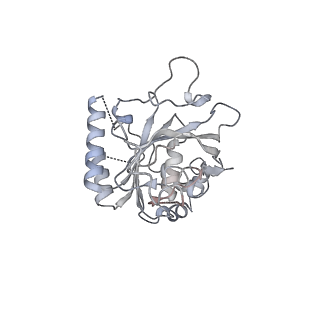 0364_6n7v_F_v1-2
Structure of bacteriophage T7 gp4 (helicase-primase, E343Q mutant) in complex with ssDNA, dTTP, AC dinucleotide, and CTP (from multiple lead complexes)