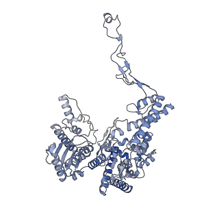 0365_6n7w_H_v1-1
Structure of bacteriophage T7 leading-strand DNA polymerase (D5A/E7A)/Trx in complex with a DNA fork and incoming dTTP (from multiple lead complexes)