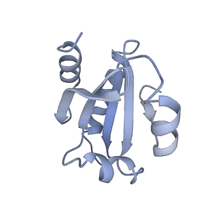 0365_6n7w_I_v1-2
Structure of bacteriophage T7 leading-strand DNA polymerase (D5A/E7A)/Trx in complex with a DNA fork and incoming dTTP (from multiple lead complexes)