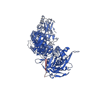 24218_7n73_A_v1-1
Cryo-EM structure of ATP13A2 in the ADP-AlF-bound E1P-ADP-like state