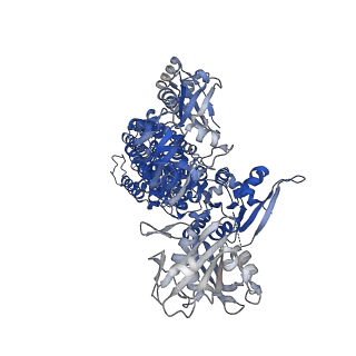 24220_7n75_A_v1-1
Cryo-EM structure of ATP13A2 D458N/D962N mutant in the E1-apo state, Conformation 1