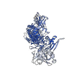 24221_7n76_A_v1-1
Cryo-EM structure of ATP13A2 D458N/D962N mutant in the E1-apo state, Conformation 2