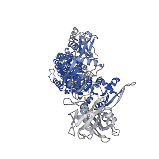24222_7n77_A_v1-1
Cryo-EM structure of ATP13A2 D458N/D962N mutant in the AlF-bound E1P-like state