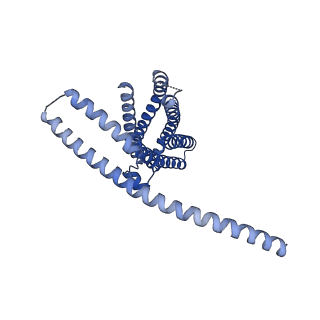24230_7n7p_A_v1-0
Cryo-EM structure of human TMEM120A