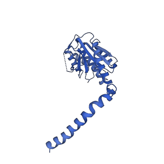 8622_6n7x_G_v1-3
S. cerevisiae U1 snRNP