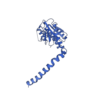 8622_6n7x_G_v1-4
S. cerevisiae U1 snRNP