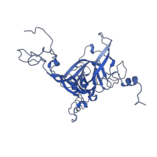 0369_6n8j_B_v1-1
Cryo-EM structure of late nuclear (LN) pre-60S ribosomal subunit