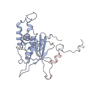 0369_6n8j_D_v1-1
Cryo-EM structure of late nuclear (LN) pre-60S ribosomal subunit